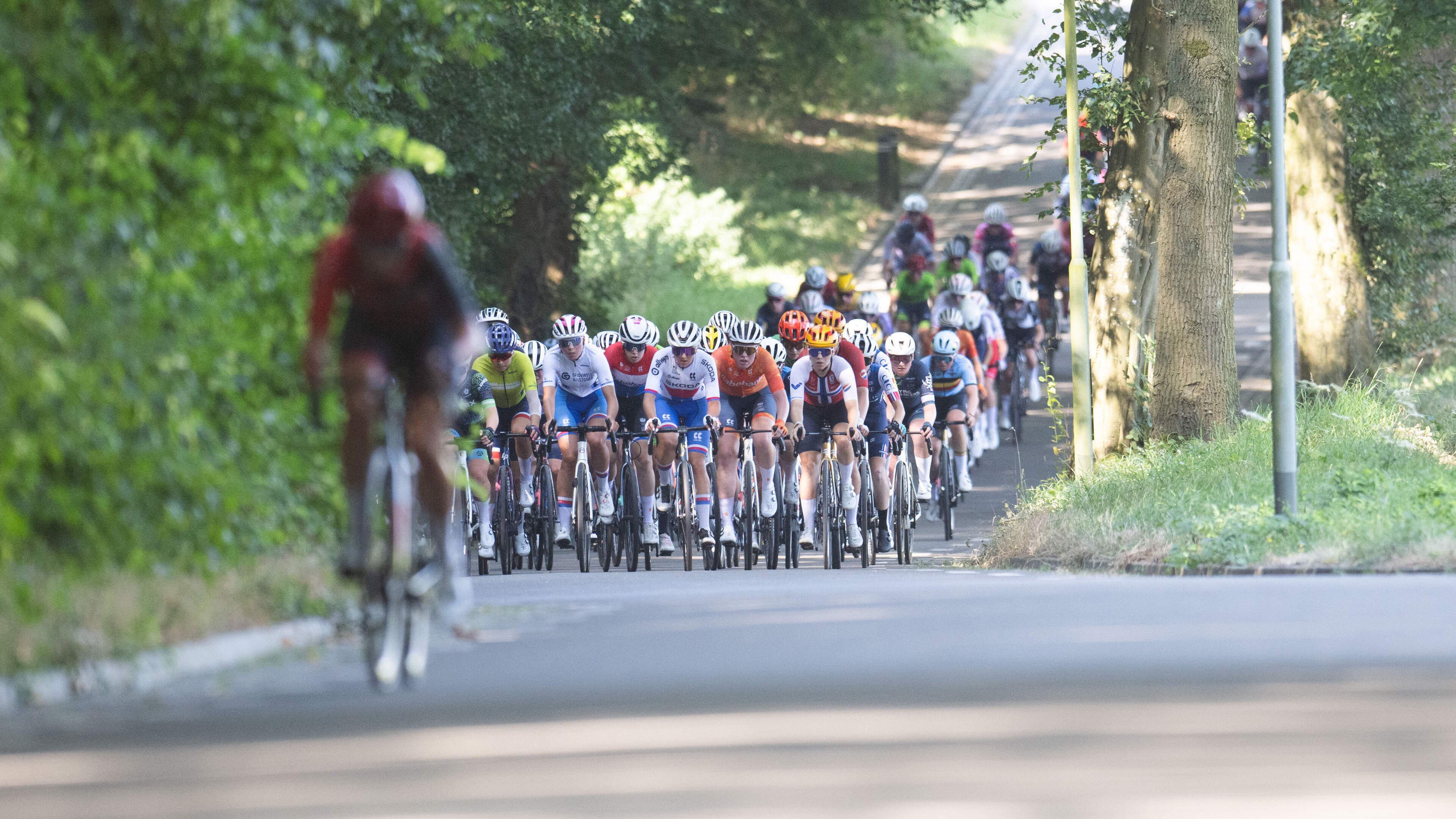 Internationaal wielertalent bijeen tijdens de Watersley Junior & Ladies Challenge